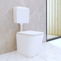 Spluczka-WC-Dolnopluk-wiszacy-TOP-Start-Stop-kompakt-zawor-plywak-Zbiornik-Kod-producenta-Spluczka31257.jpg