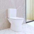 Spluczka-dolnopluk-WC-bialy-do-toalety-Start-Stop-Stojaca-do-sedesu-EAN-GTIN-5905036631240.jpg