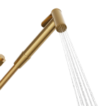 ROY-PRO-bidet-podtynkowa_zlota-szczotkowana_u4.png
