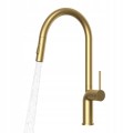 2-brush-gold-oxy.jpg