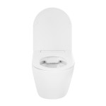 biala-misa-wc.jpg